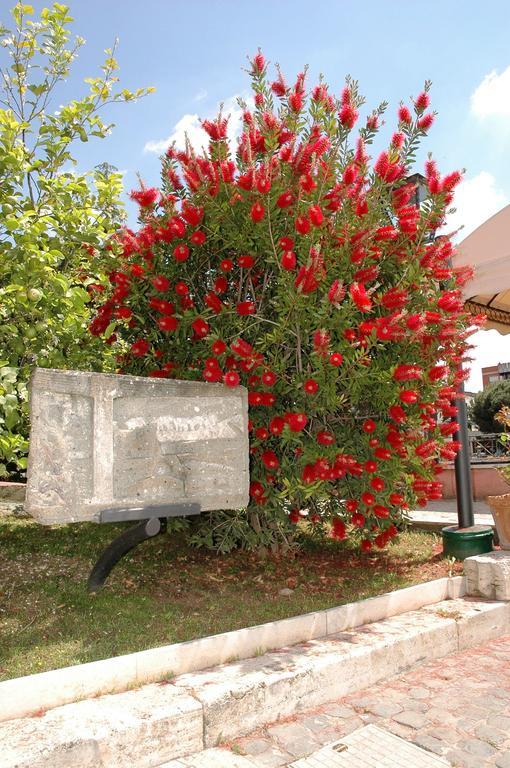 Hotel Arco Di Travertino Ρώμη Εξωτερικό φωτογραφία